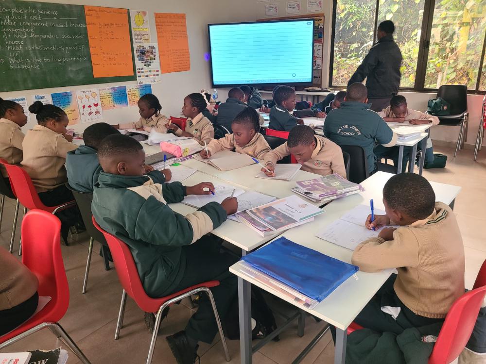 Assessment activities